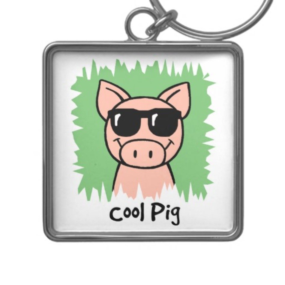 Cartoon Sunglasses Clip Art N14