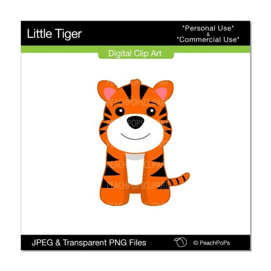 Like This Item N25