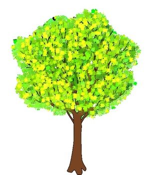 Tree With No Leaves Clip Art N15