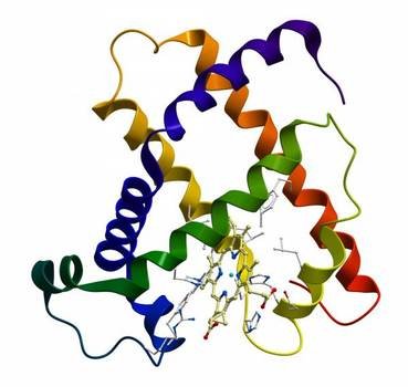 Protein Clip Art N14