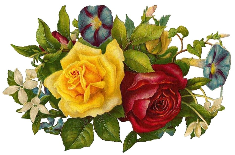 Vintage Flower Clip Art Free N18