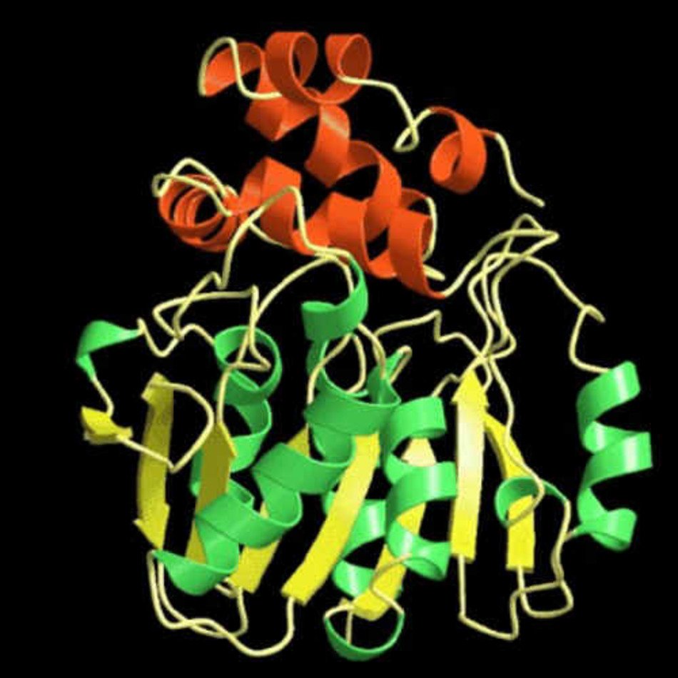 Chocolate These Tough Stains Are No Match For The Enzyme Power Of E9