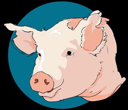 Pig Head Clip Art N11