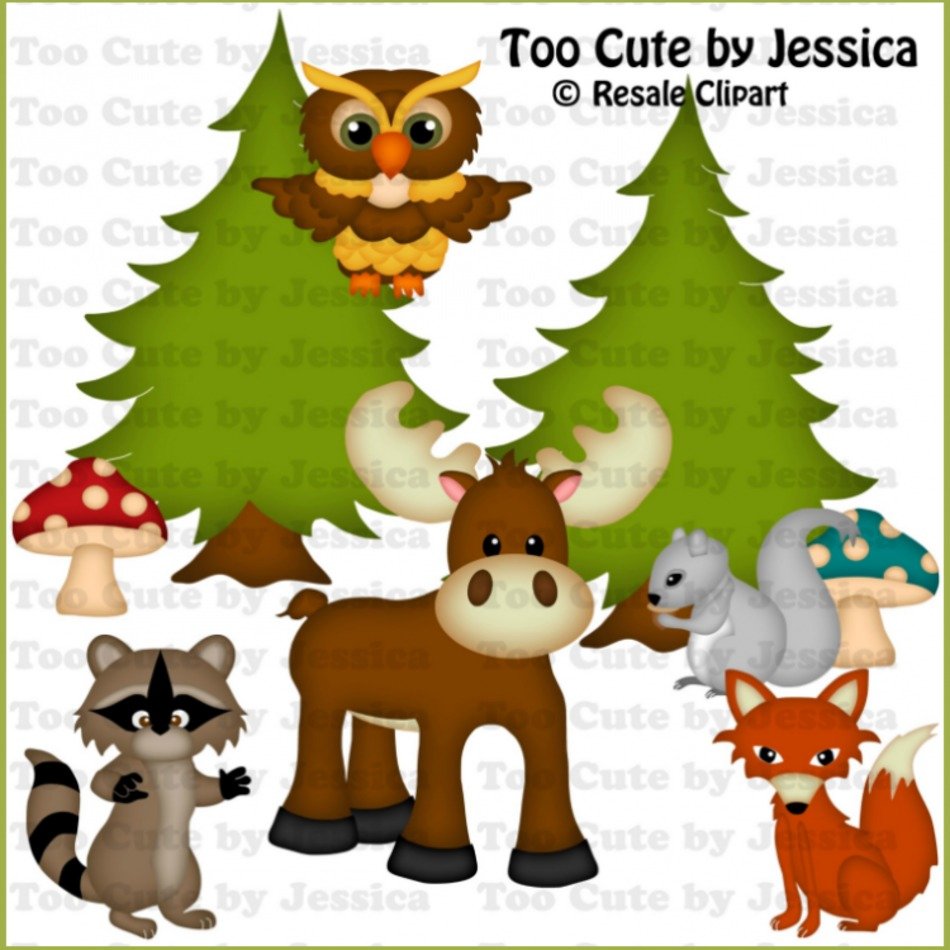 Woodland Animals Clip Art N8
