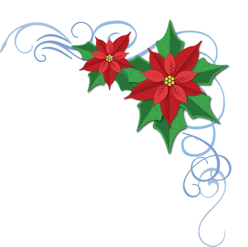 Christmas Poinsettia border drawing