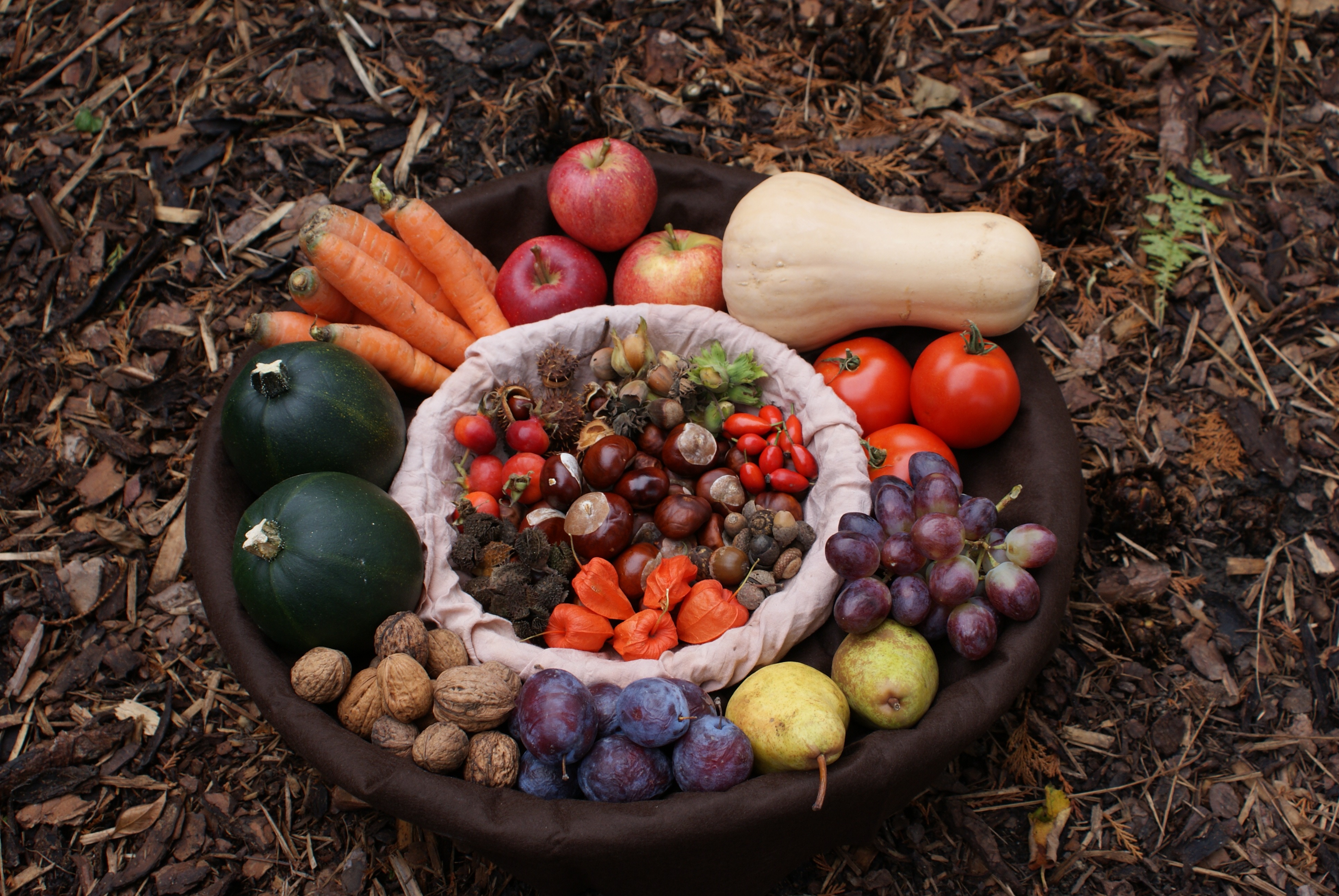 Урожай фруктов. Осенние овощи и фрукты. Овощи и фрукты осенью. Урожай овощей и фруктов. Урожай осенью.