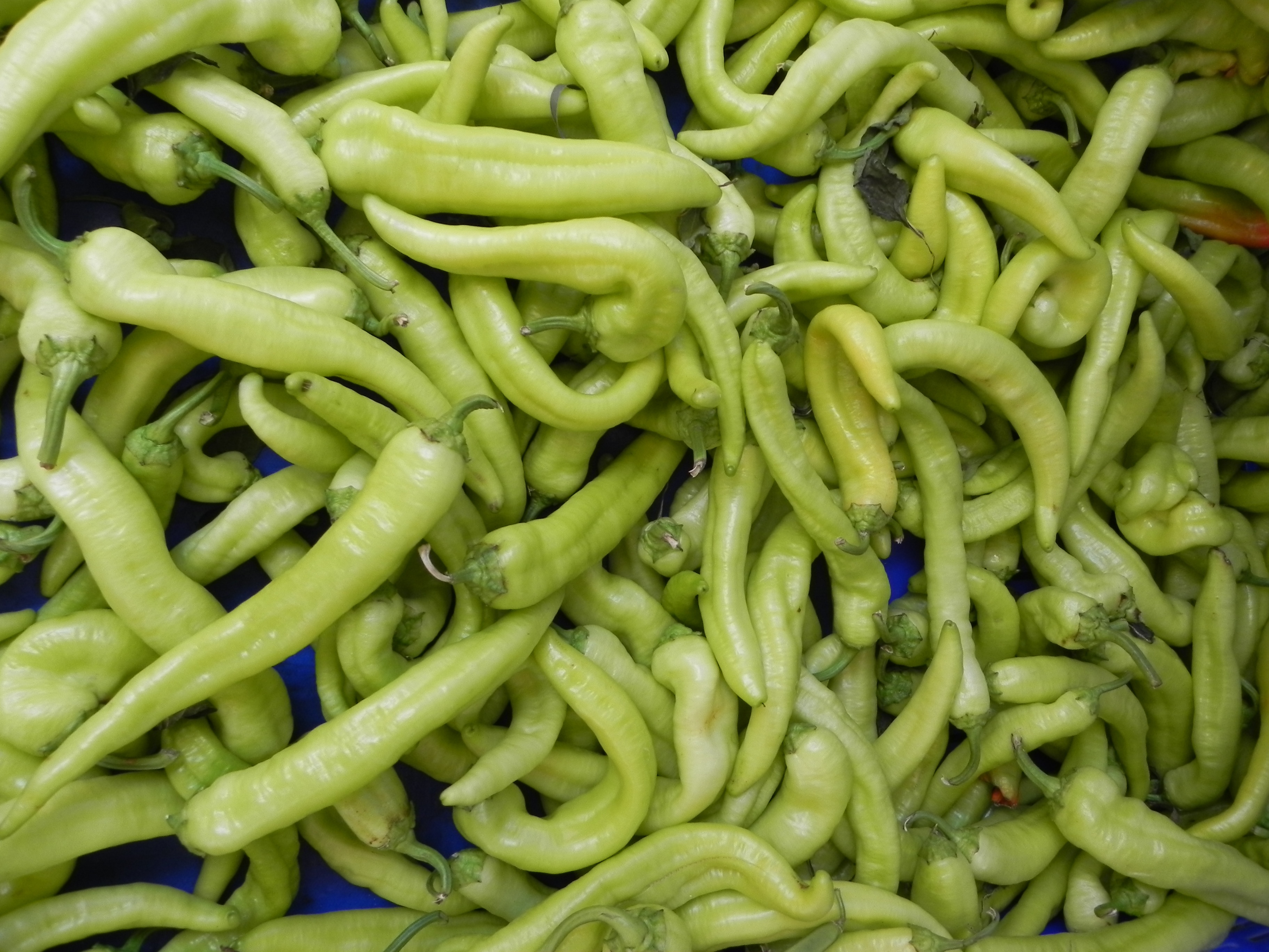 A lot of green pepper free image download