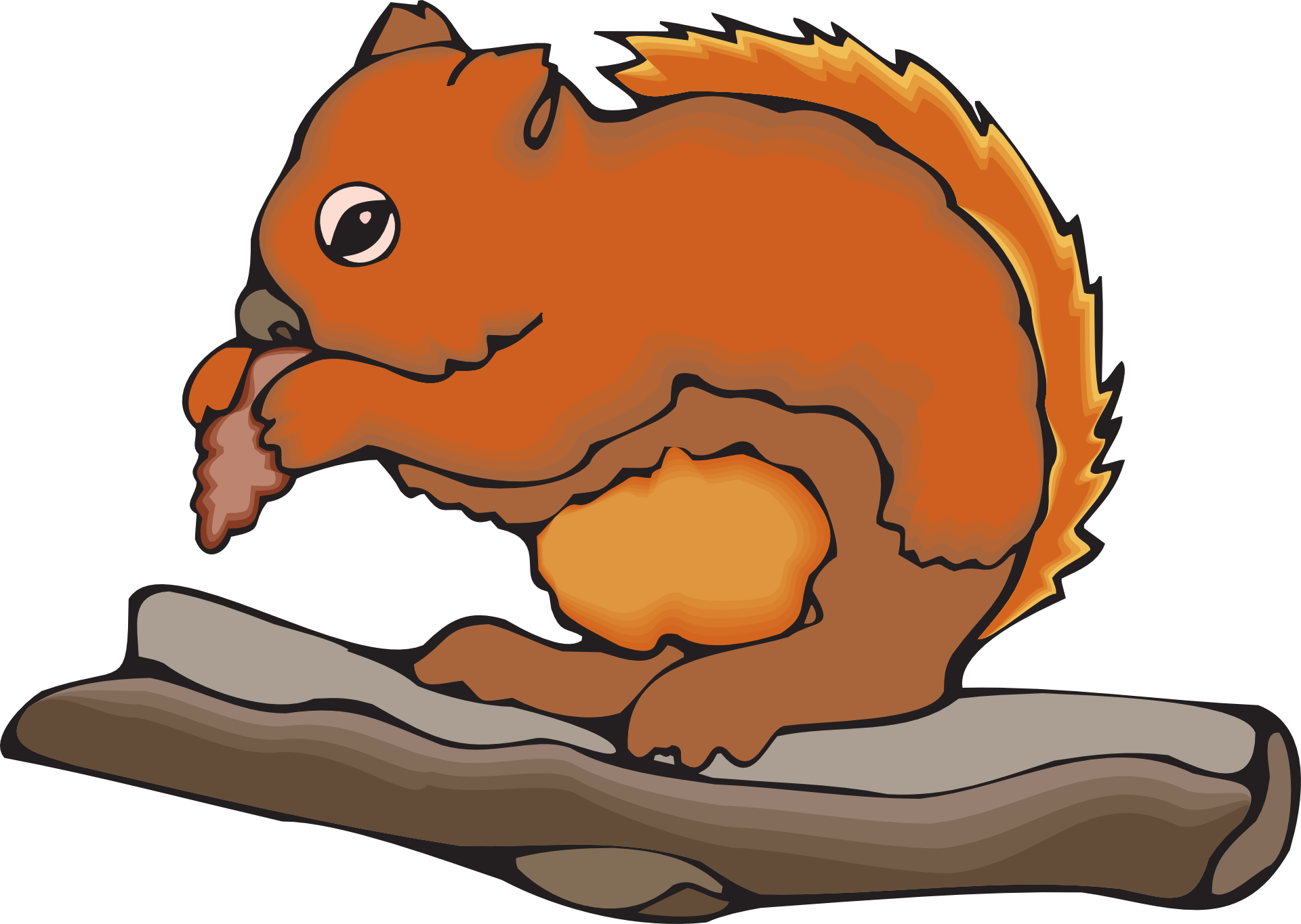 Drawing of a squirrel with a nut on a tree branch free image download