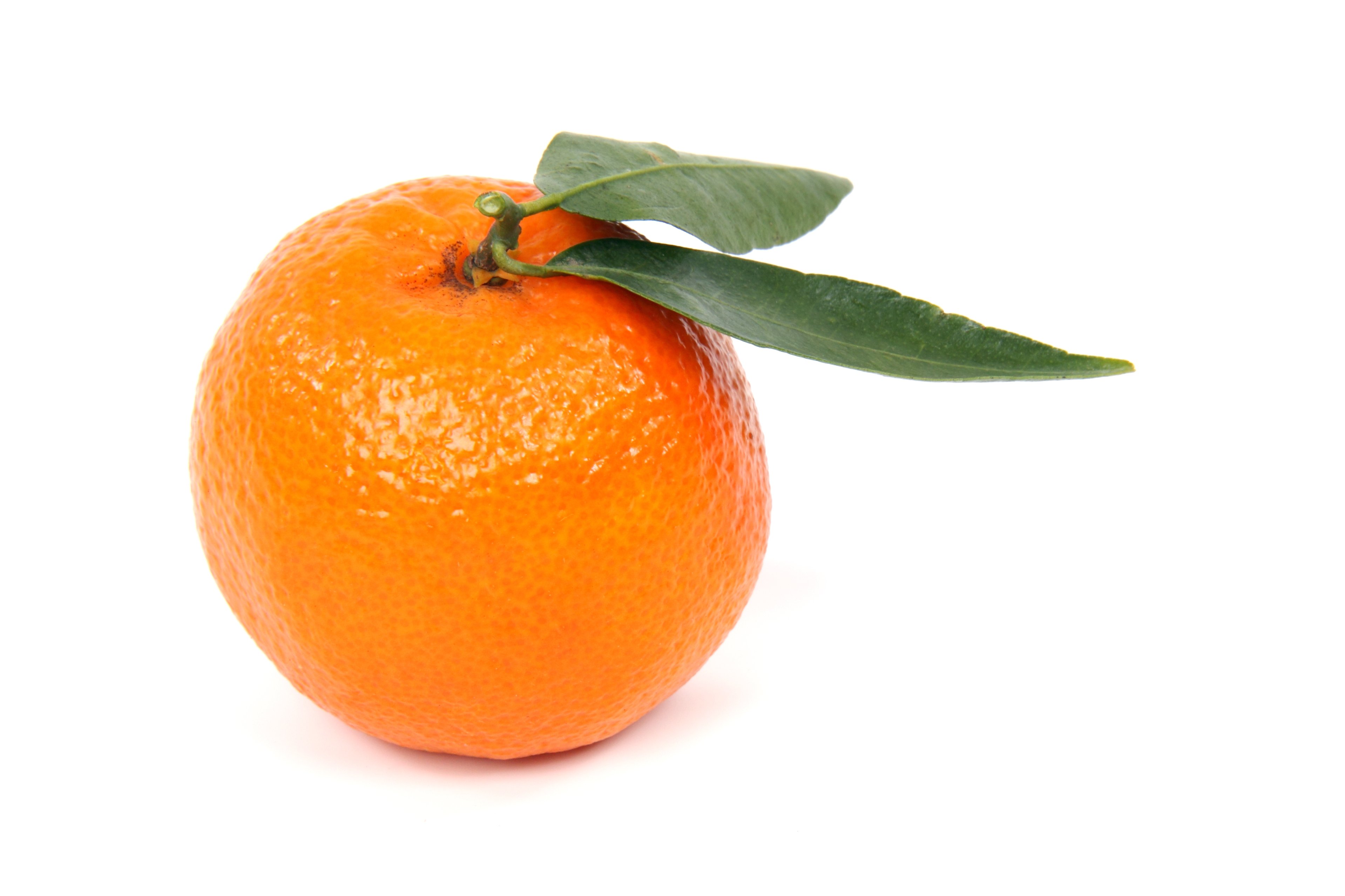 Мандарин платежная. Мандарин оранжевый Клементин. Mandarina_111. Танжерин фрукт. Мандарин на белом фоне.