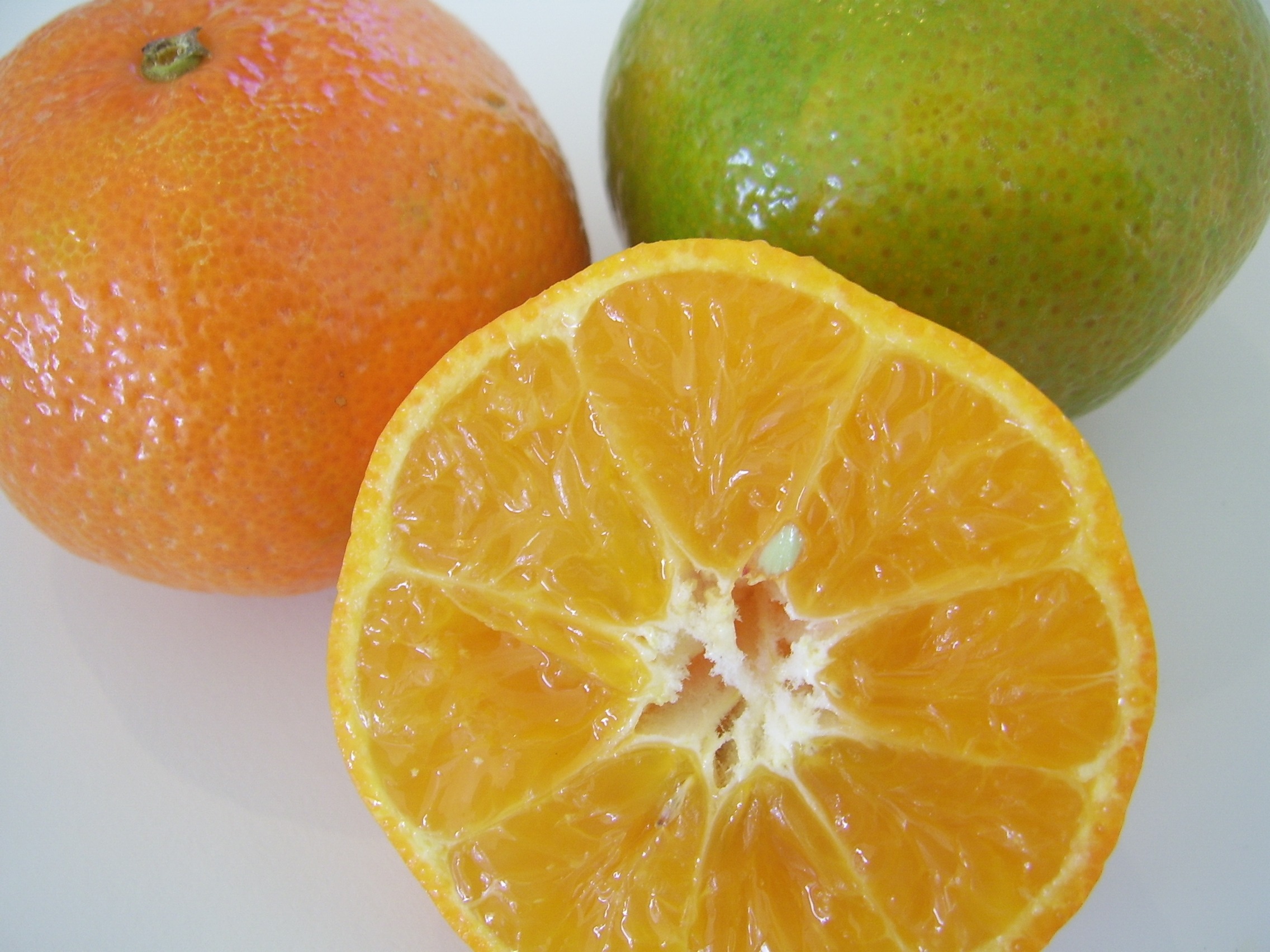 Juicy citrus fruits image 