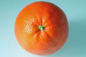 orange on white background