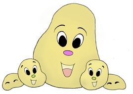 painted potatoes with eyes