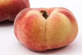 fresh peach aroma