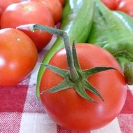 red tomatoes and green paprika