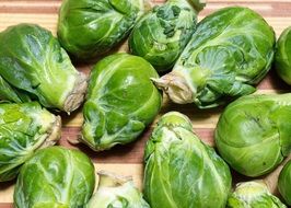 sprouts green