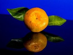 tangerine with leaves reflected on shiny surface
