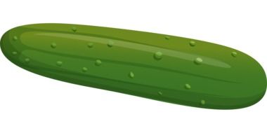 Picture of green cucumber