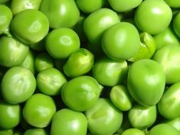 fresh green peas, macro