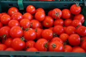 red tomatoes in big box