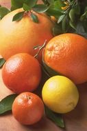 orange and yellow citrus fruits