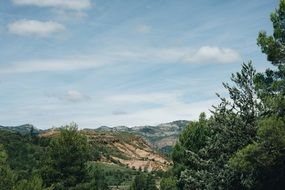 panoramic view of the valley among the forest landscape