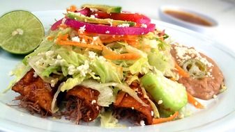 mexican enchilada on a plate
