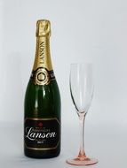 champagne bottle and glass on a white background