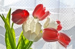 a watercolor bouquet of tulips