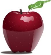 glossy red apple, illustration