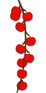 small red fruits on twig, drawing