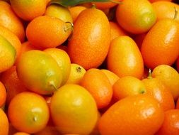 kumquats fruit