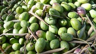 green olives in pile