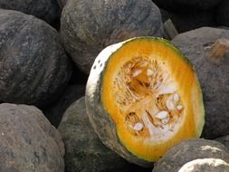 sliced black pumpkin