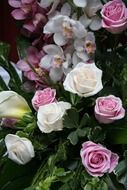 pink and white roses and orchids