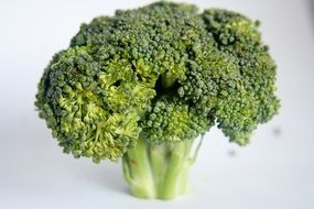 broccoli inflorescence closeup