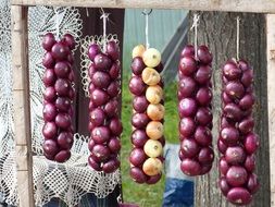 purple onions for sale