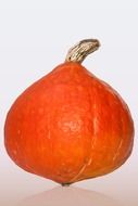 Japanese kabocha