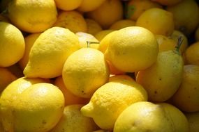 yellow lemons are citrus fruits