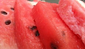 Close up of watermelon slices