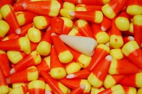 candy in the form of maize grain