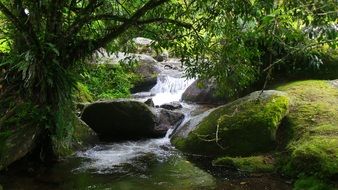 waterfall in the rainforest in Brazil