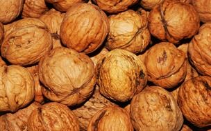 walnuts in shell