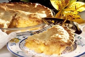 traditional tasty apple pie