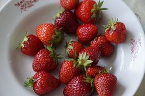 fresh strawberries in white plate