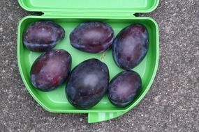 ripe plums in a lunch box