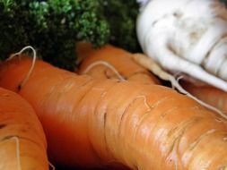carrots and radish