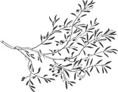 clipart of a branch with berries