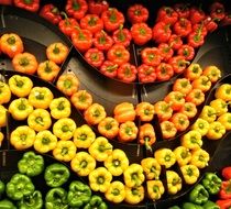 peppers red and orange and yellow and green