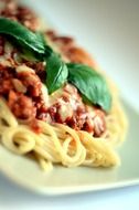 spaghetti with meat on a plate