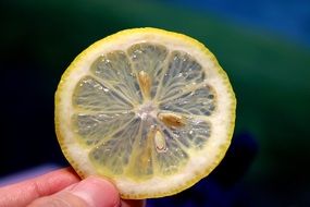piece of lemon with pits